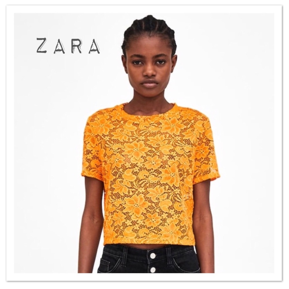 Zara Cropped Short Sleeve Lace Top - NWT